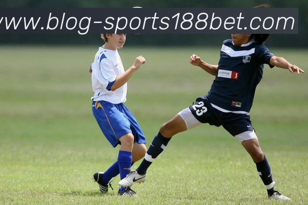 188bet体育平台生态图